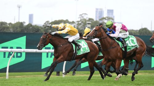 Lady-Of-Camelot-Golden-Slipper-500x280.p