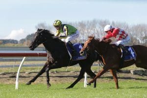 Leedox breaks winless drought