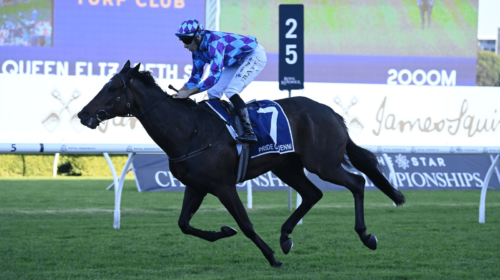 Pride-Of-Jenni-Queen-Elizabeth-Stakes-50