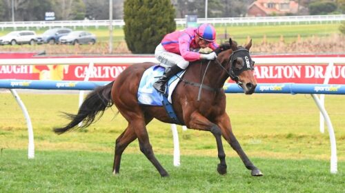 Recommendation-Bletchingly-Stakes-500x28