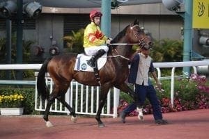Clipperton hopes Valley can prove happy hunting ground for Rivet