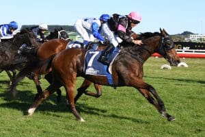 Patterson hoping Secret Amour can cap 'outstanding' season