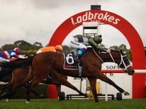 Irish import Dabiyr wins at Sandown