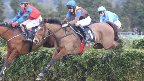 The-Cossack-Wellington-Steeplechase-scal