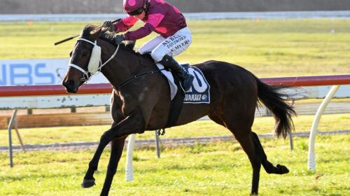 Tide-and-Time-3YO-Winter-Championship-Fi