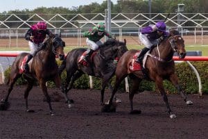 Valentina Star wins Rose Bowl