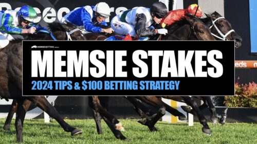 2024-Memsie-Stakes-Preview-500x280.jpg