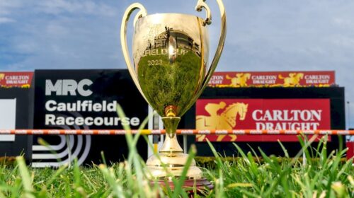 Caulfield-Cup-500x280.jpg