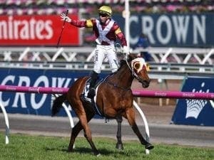 Lasqueti Spirit retired to broodmare barn