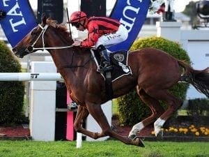 Divine Unicorn to resume at Caloundra