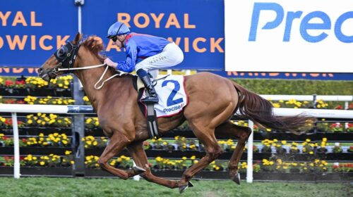 Golden-Path-Premiers-Cup-Prelude-500x280