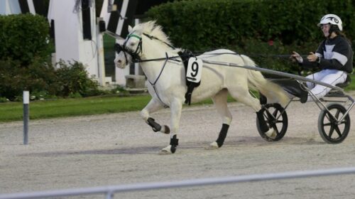 Kate-Coppins-blog-Kidz-Kartz__ResizedIma