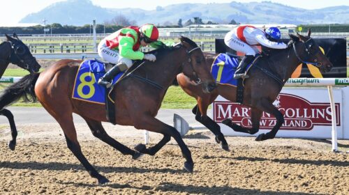 Monza-Richard-Bright-Memorial-500x280.jp