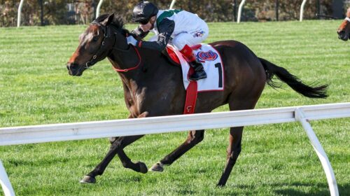 Mr-Brightside-Makybe-Diva-Stakes-1-500x2