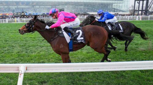 Recommendation-Vale-Black-Caviar-500x280