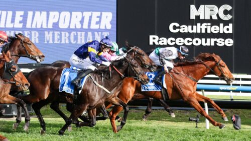 Rise-At-Dawn-Heatherlie-Stakes-scaled-1-