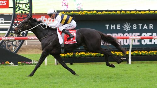 Warmonger-Queensland-Derby-1-500x280.jpg