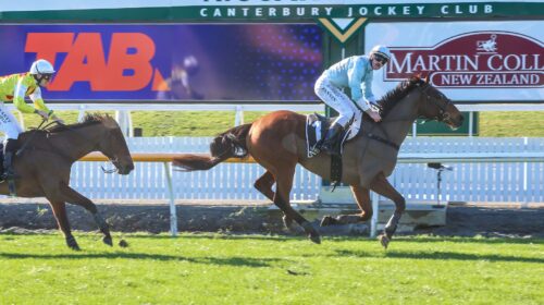 West-Coast-Koral-Steeplechase-500x280.jp