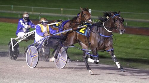 Beach-Ball-blog-Addington-Nov-2023-v2__R