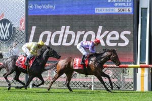 All-the-way Valley victory for Castillian