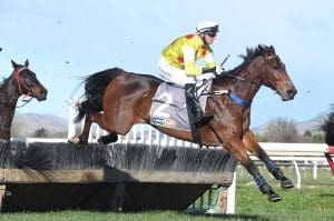 Country Bumpkin runs rivals ragged at Hawera