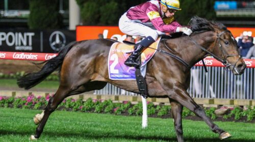 Evaporate-Stutt-Stakes-scaled-1-500x280.