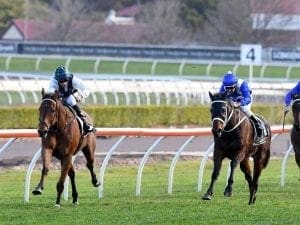 Strong numbers for Epsom/Metropolitan