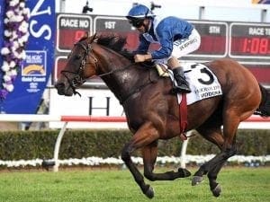 Viddora shows she's on target for G1 Moir