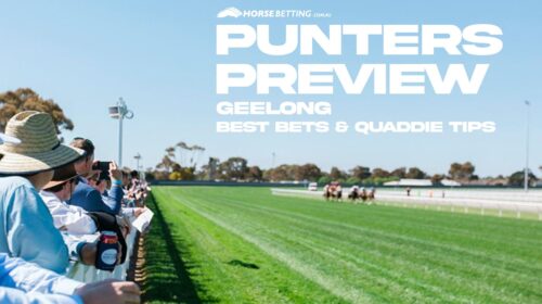 Geelong-Preview-500x280.jpeg