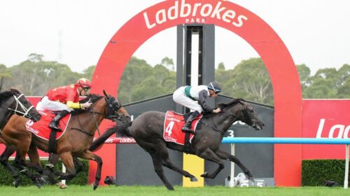 Little-Brose-Blue-Diamond-Stakes-500x280