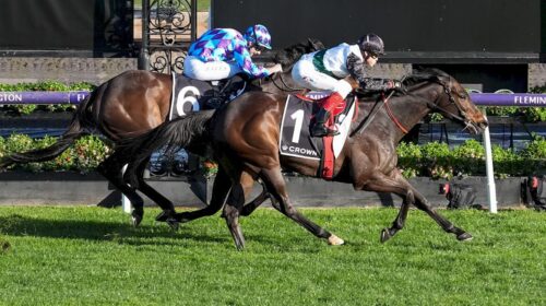 Mr-Brightside-Makybe-Diva-Stakes-500x280