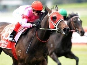 Wassergeist gets maiden win on the board