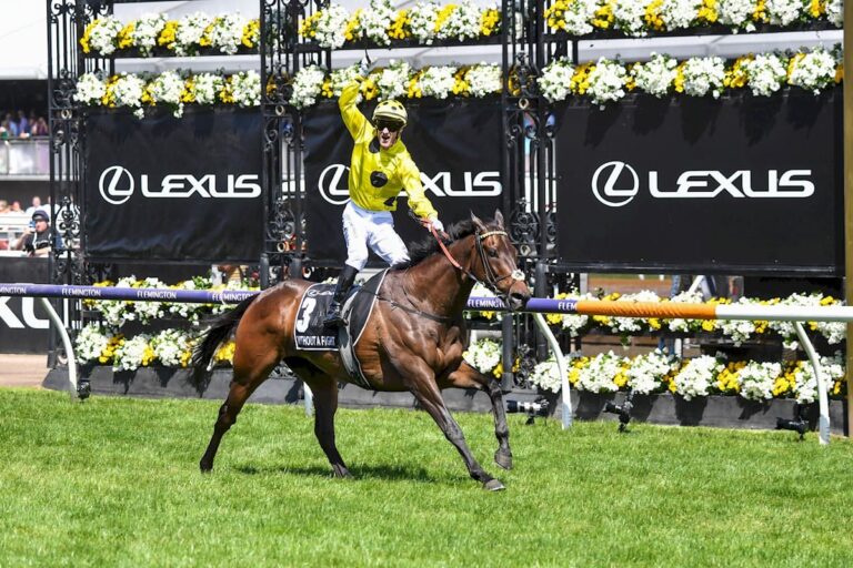 Melbourne Cup 2025 draws 123 nominations BOAY Racing News