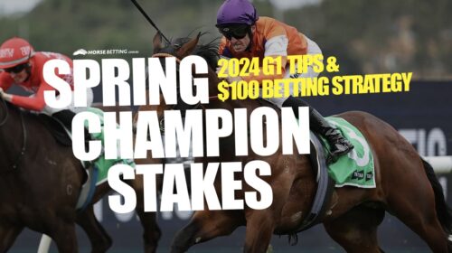 2024-Spring-Champion-Stakes-Preview-500x