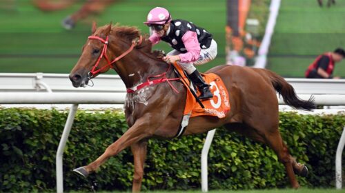 Beauty-Eternal-Champions-Mile-scaled-1-5