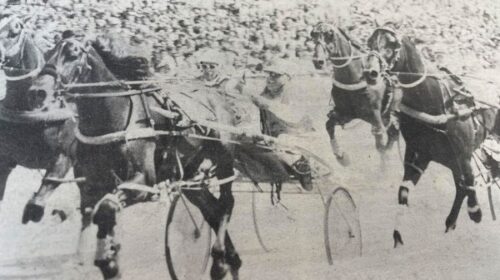 Camelot-blog-winning-1984-NZ-Cup__Resize