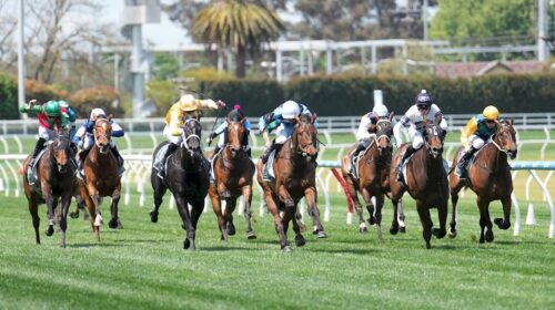 Caulfield-Races-October-16-500x280.jpg