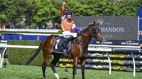 El-Castello-Spring-Champion-Stakes-500x2