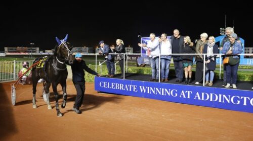 Fiery-Bandito-birdcage-blog-addington__R