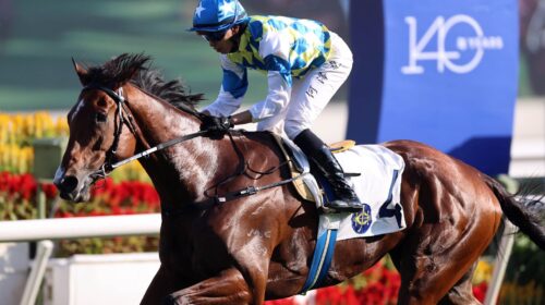 Galaxy-Patch-Sha-Tin-Trophy-scaled-1-500