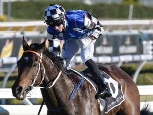 Tactical has advantage at Randwick