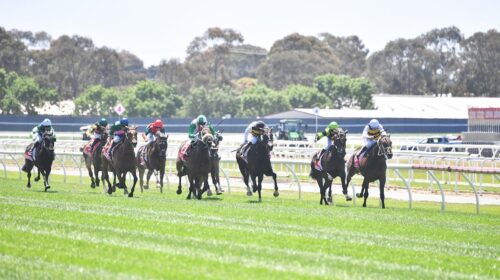 Geelong-Cup-Day-2024-500x280.jpg