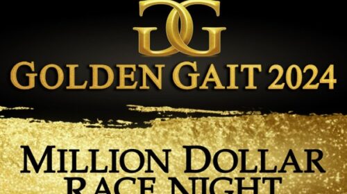 Golden-gait-blog-generic__ResizedImageWz