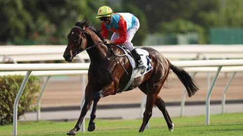 Ka-Ying-Rising-Premier-Bowl-scaled-1-500