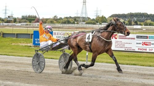 Kirstin-Green-whip-Samanthas-Moon-Invers