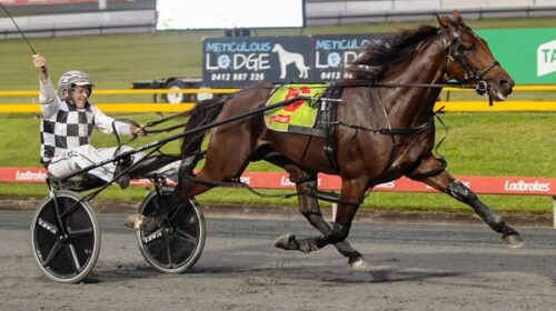 Leap-To-Fame-blog-ID-final-2023-v3__Resi