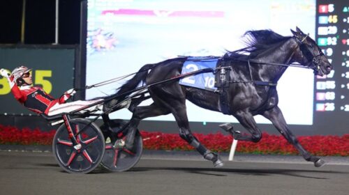 Maryland-Dexter-Mohawk-blog-2024-v2__Res