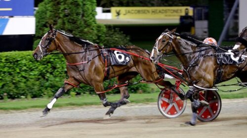 Mhair-Surfer-Girl-blog-Alex-Park__Resize