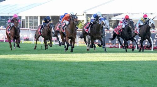 Moonee-Valley-Gold-Cup-Night-2024-500x28
