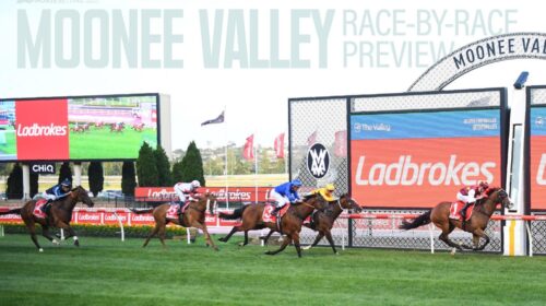 Moonee-Valley-Race-by-Race-Preview-500x2